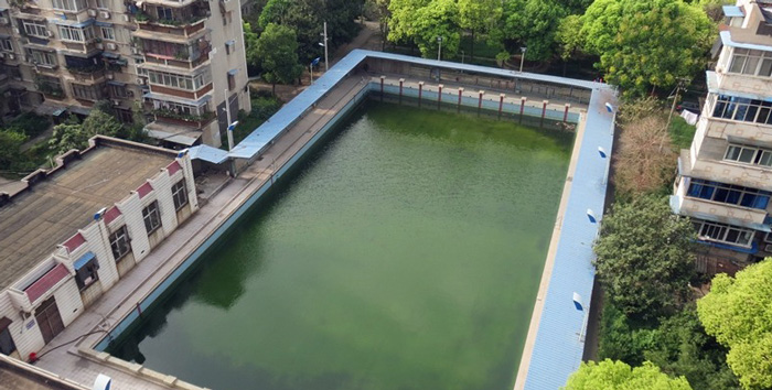 游泳池水變綠是什么原因？游泳池水處理方法