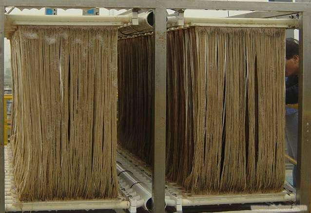 MBR膜如何選型？膜組件如何清洗？MBR知識分享