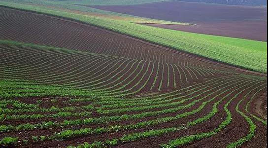 土壤檢測標準取樣方式，越標準結果越準確