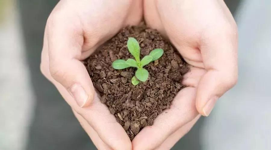 關(guān)于土壤污染修復(fù)，你了解多少？