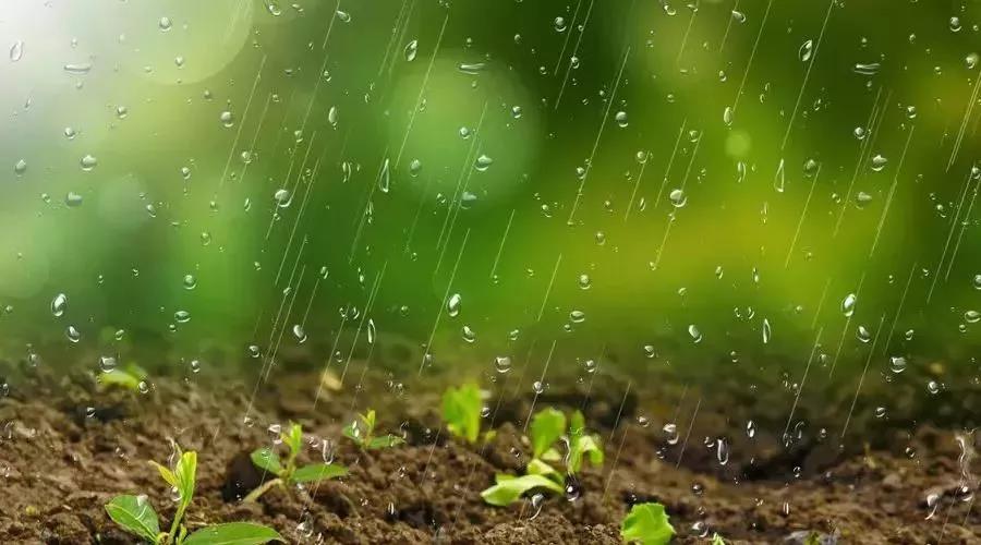 普及土壤污染知識，切實提高防治意識