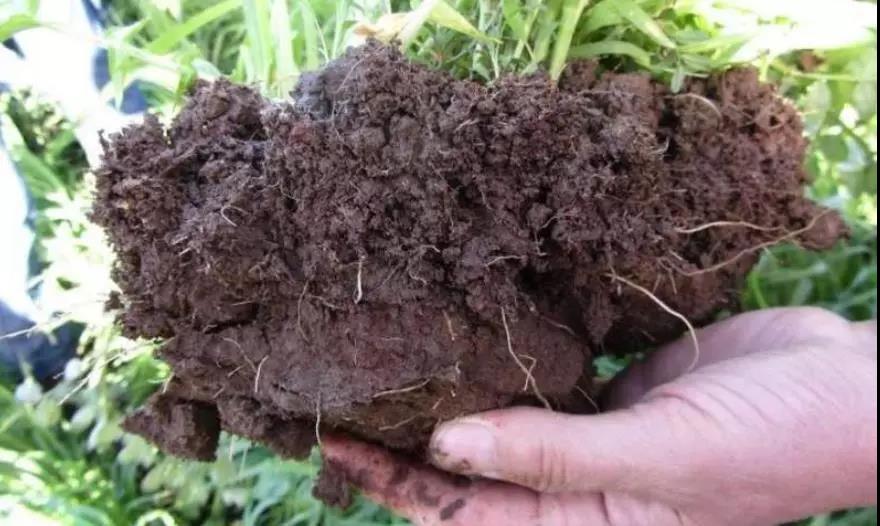 土壤侵蝕是什么？什么導(dǎo)致了土壤侵蝕？