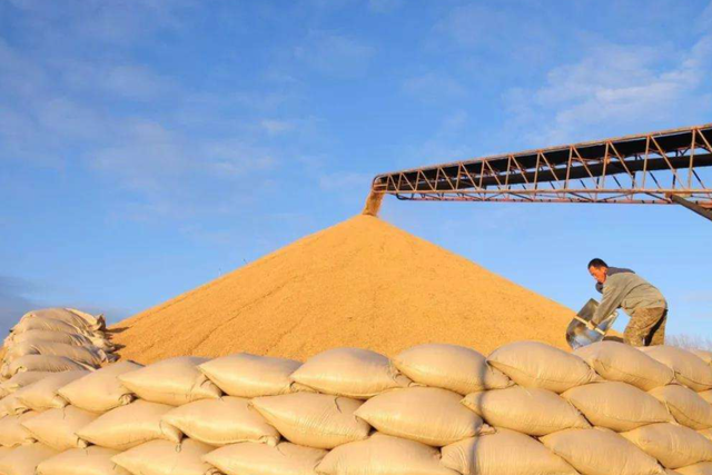 土壤修復(fù)市場(chǎng)，該火了！